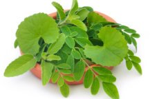 November is the right month for spring detox