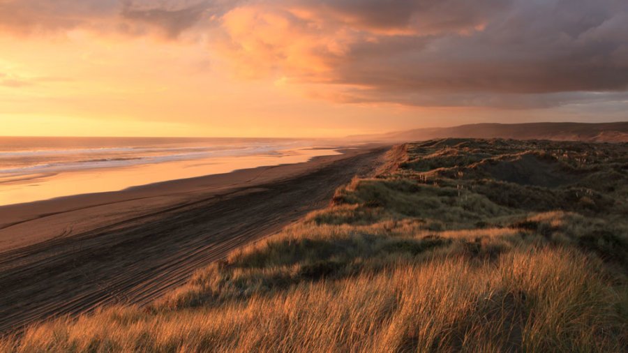 ayurvedic five elements